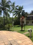 Apartamento da Cris - Taperapuã - căn hộ