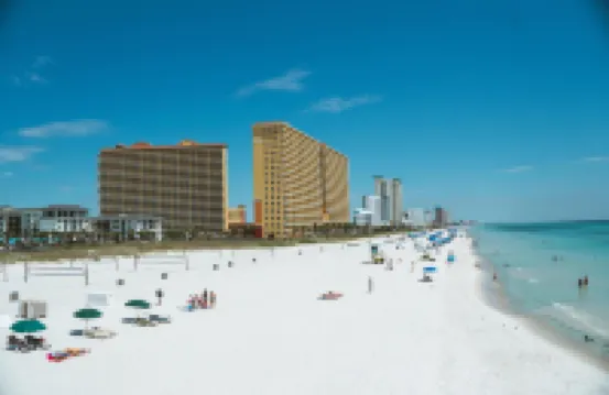 Sandpiper Philosophy