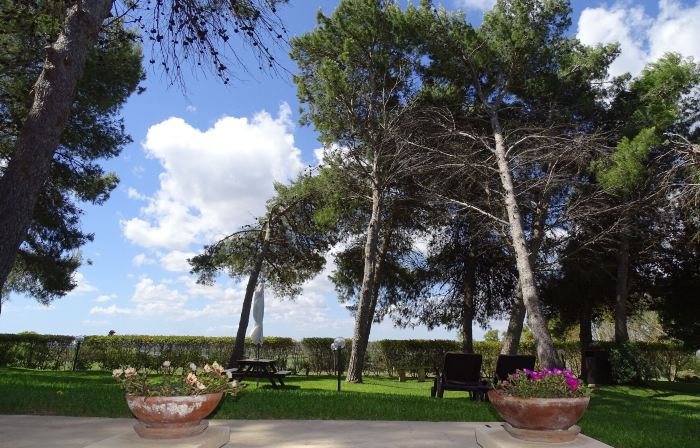 Sole del Mediterraneo