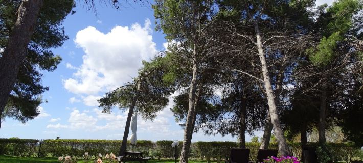 Sole del Mediterraneo Hotels in Otranto