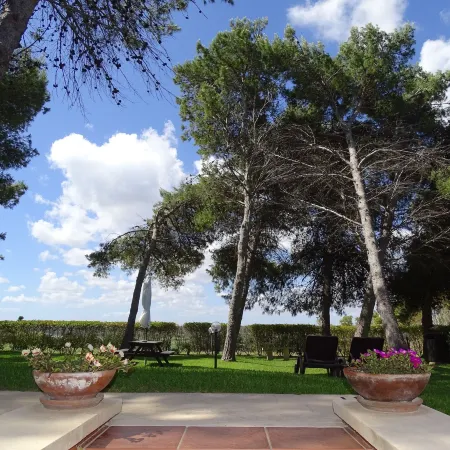 Sole del Mediterraneo