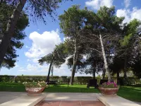 Sole del Mediterraneo - Homestays
