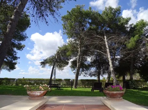 Sole del Mediterraneo