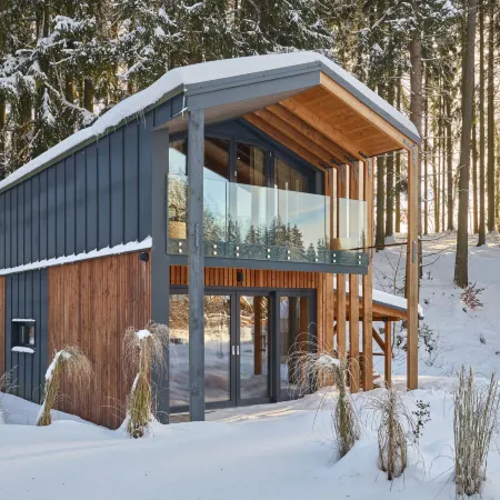 Luxe Timber Lodge & Pet Retreat