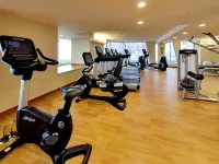 埃德蒙頓市中心希爾頓逸林酒店 - 健身室/gym room