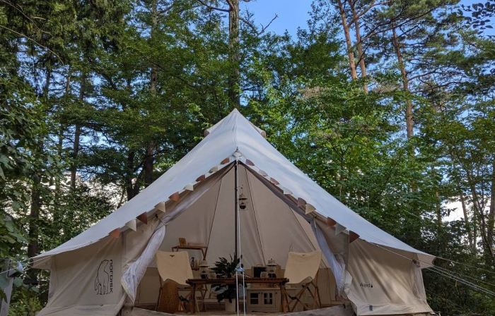 Retama Camp Forest