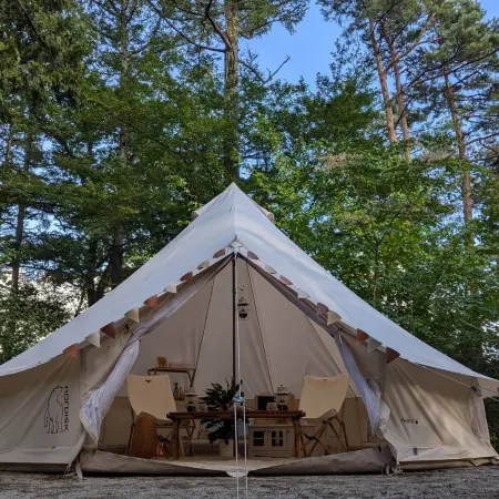 Retama Camp Forest