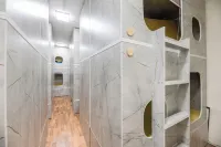 Arch Hostel