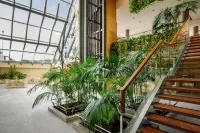 ALEGRIA Caprici Verd - Pet friendly