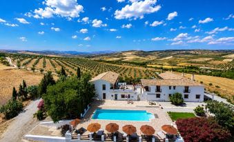 Lemon Tree Retreat at El Amparo