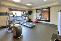 希爾頓歡朋套房飯店-佩託斯基 - 健身房