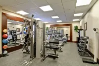 Homewood Suites by Hilton Sudbury - palestra