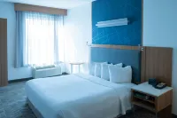 SpringHill Suites Dallas Lewisville - parkir