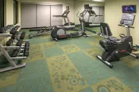 Springhill Suites by Marriott Orlando North/Sanford - Gym