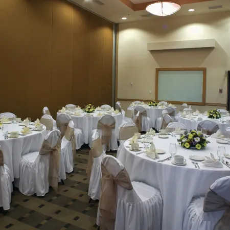 Fiesta Inn Culiacan