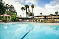 Vagabond Inn Sunnyvale - que admiten mascotas