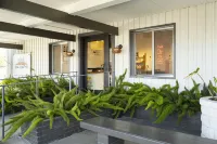 Dr Wilkinsons Backyard Resort and Mineral Springs a Member of Design Hotels - Spa