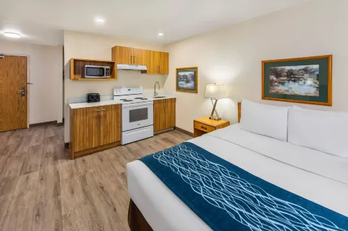 Rodeway Inn - Pet friendly