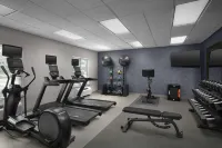 Homewood Suites by Hilton Decatur-Forsyth - Kuntosalit