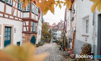 Neckarblick Hotel