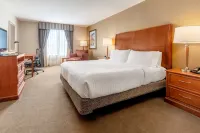 Hilton Garden Inn Houston/The Woodlands Hôtels à proximité de : SMGSL