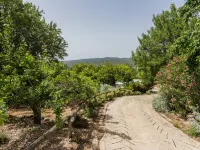 Casa Amoreira - Quinta Amoreira Hotels in Benafim