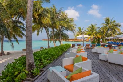 a tropical outdoor lounge area with white and orange cushions , palm trees , and a beautiful view of the ocean at Vilamendhoo Island Resort & Spa