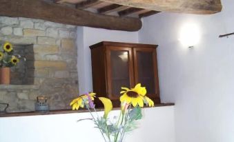 Appartamenti Valdipetrina