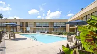 Hotel Francis - Familievenlig