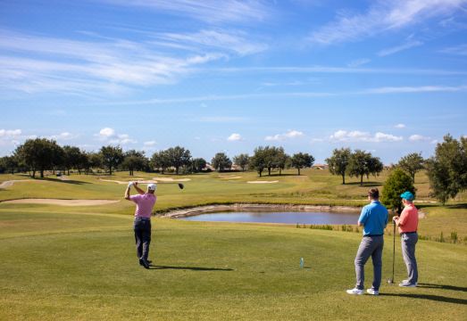 2. 옴니 올란도 리..