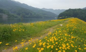 Villa Pension in Cheonan