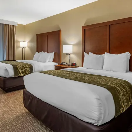 Comfort Inn & Suites Pittsburgh South