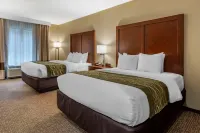 Comfort Inn & Suites Pittsburgh South Hotels in Green Tree