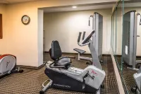 Econo Lodge Inn & Suites Monroe - Gym