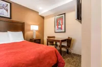 Rodeway Inn Chicago/Evanston - 2-Star