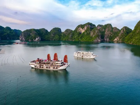 Alisa Premier Cruise