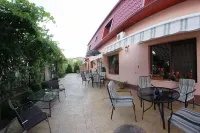 Vila Toparceanu - Therme & Airport Otopeni