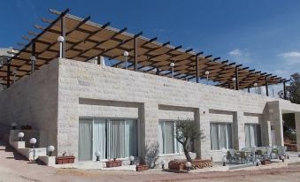 Olive Branch Hotel - Housity
