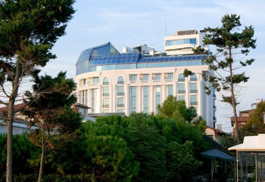 5. 에세르 프리미엄..