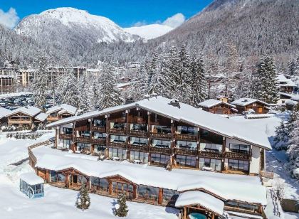 Chalets Grands Montets