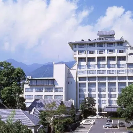 Shiragiku