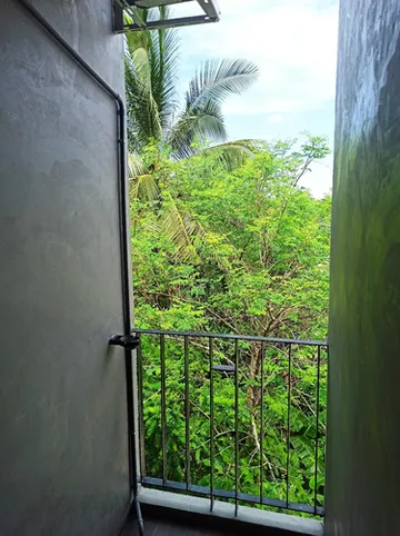 รูปภาพของแบร์รี่ ลอฟต์ 2