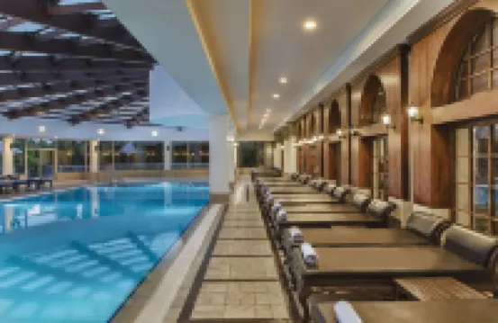 Delphin Diva Premiere