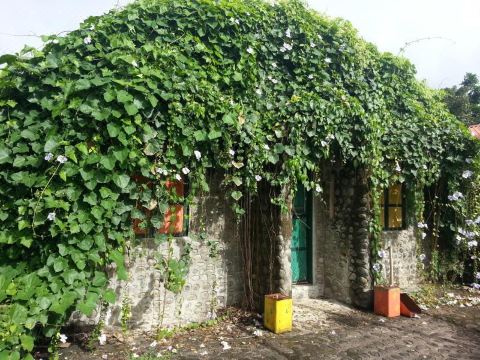 Villa Socorro Agri-Eco Village Farm and Resort - Housity