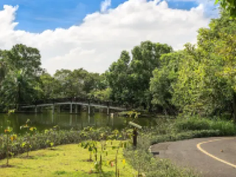 The Bird Nest Homestay& Coffee Shop Hotels in Phra Pradaeng