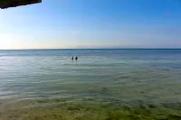 Ocean View Lodging House - Chỗ nghỉ phục vụ bữa sáng