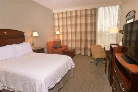 斯普林菲爾德南歡朋飯店