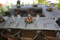 Fun Holiday Beach Resort Hotels in Negril