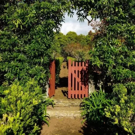 Quinta do Espírito Santo