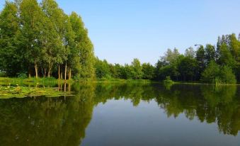 a serene lake surrounded by lush green trees , with the reflection of the trees on the calm surface of the water at The Mayfield Seamer